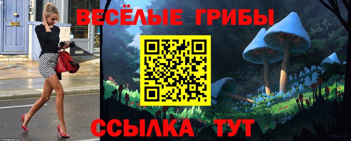 Галлюциногенные грибы GOLDEN TEACHER Малгобек