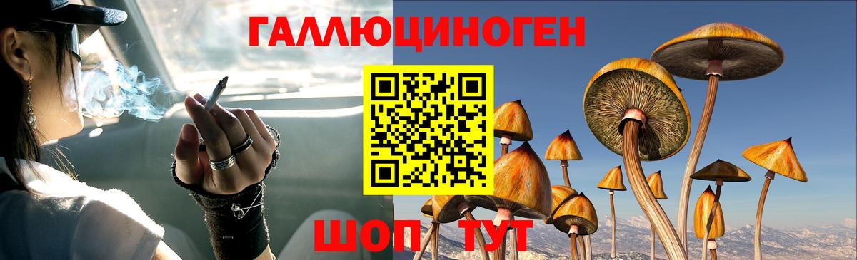 Галлюциногенные грибы ЛСД  Вход с VPN  Малгобек 
